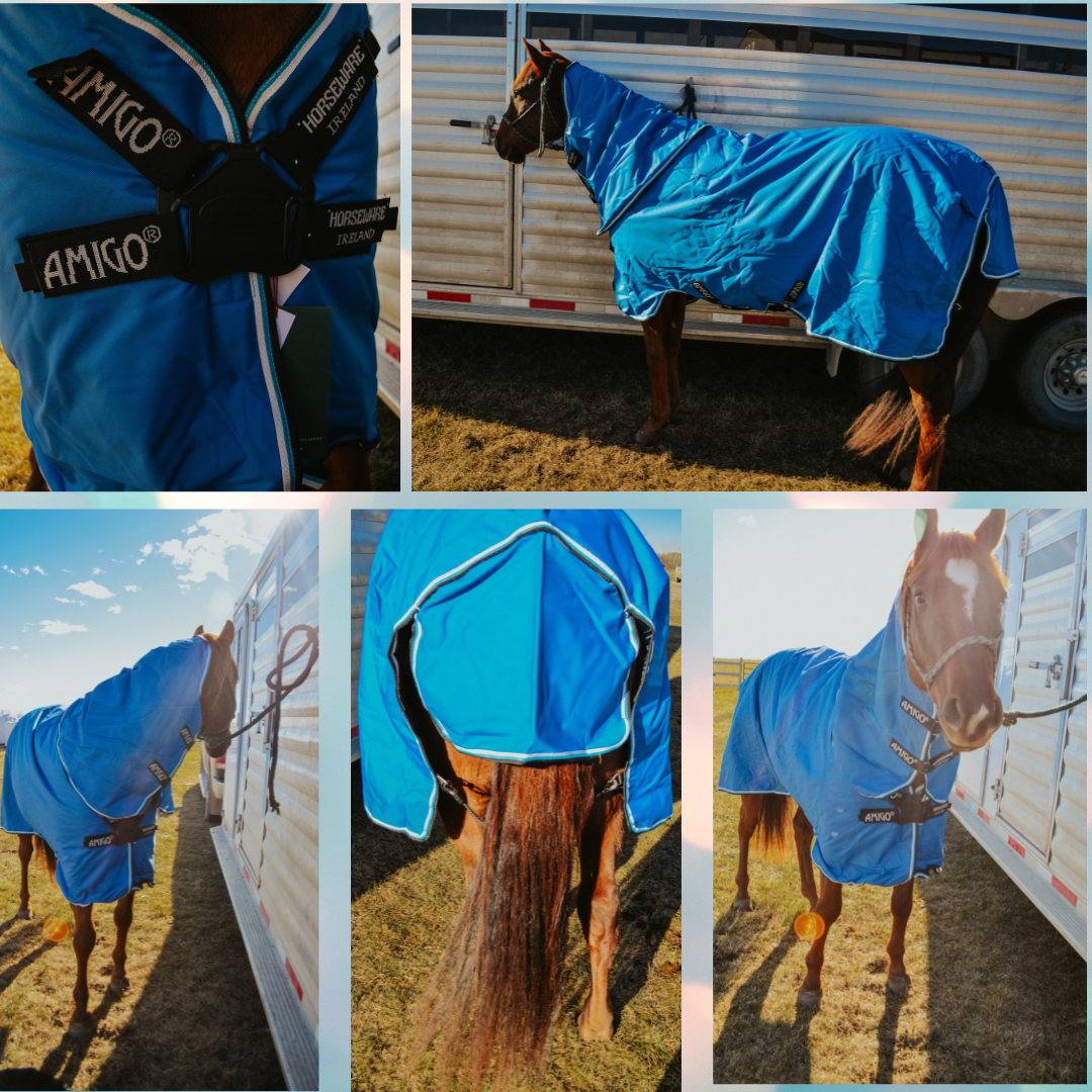 Amigo Hero 900D Disc Front 200g