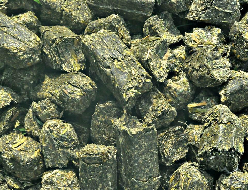 Danco Mustang Sally Alfalfa Cubes