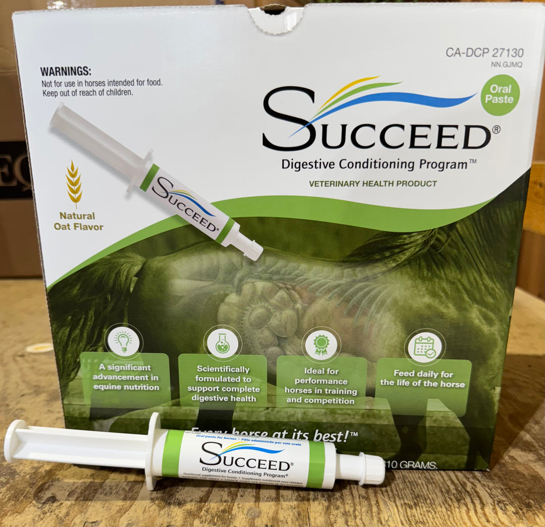 Succeed