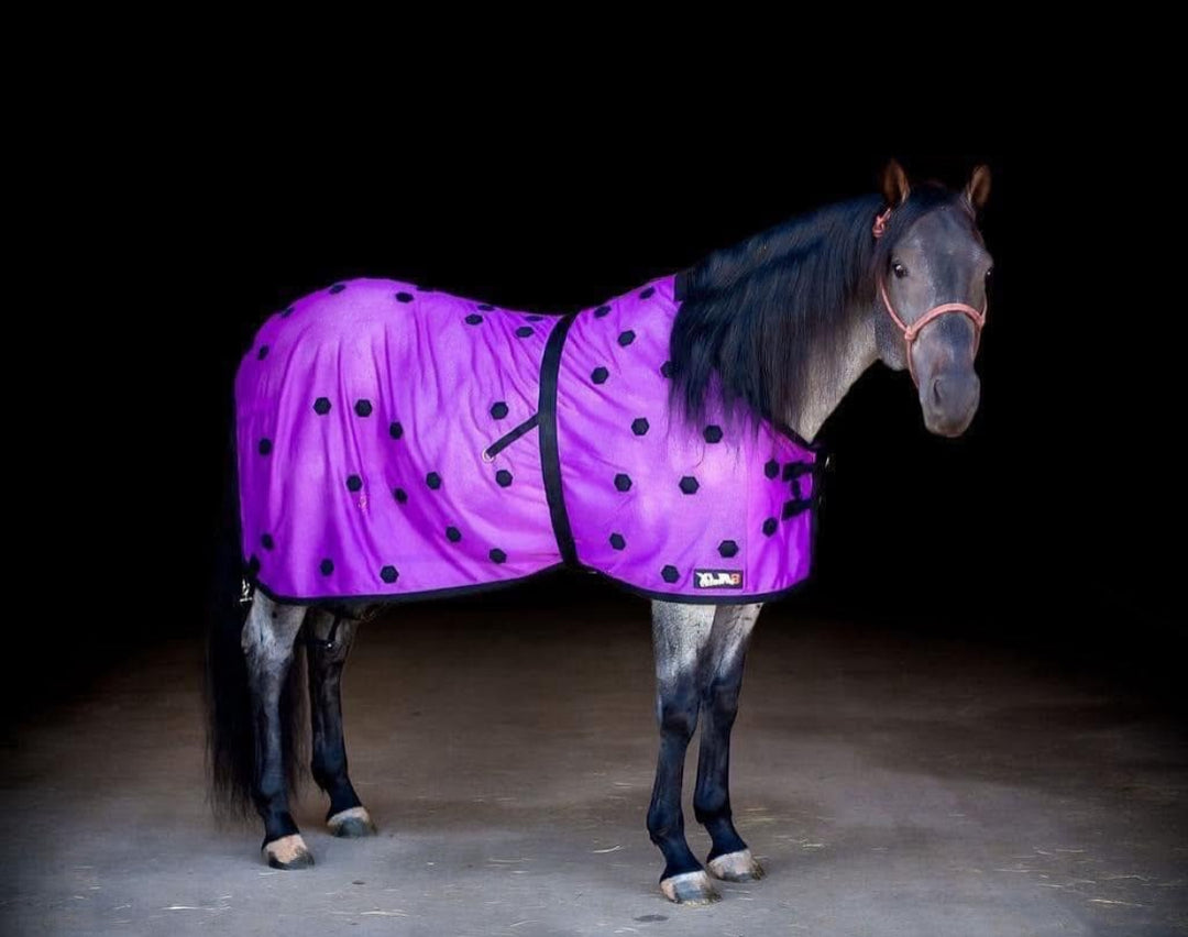 Purple Velocity Sheet