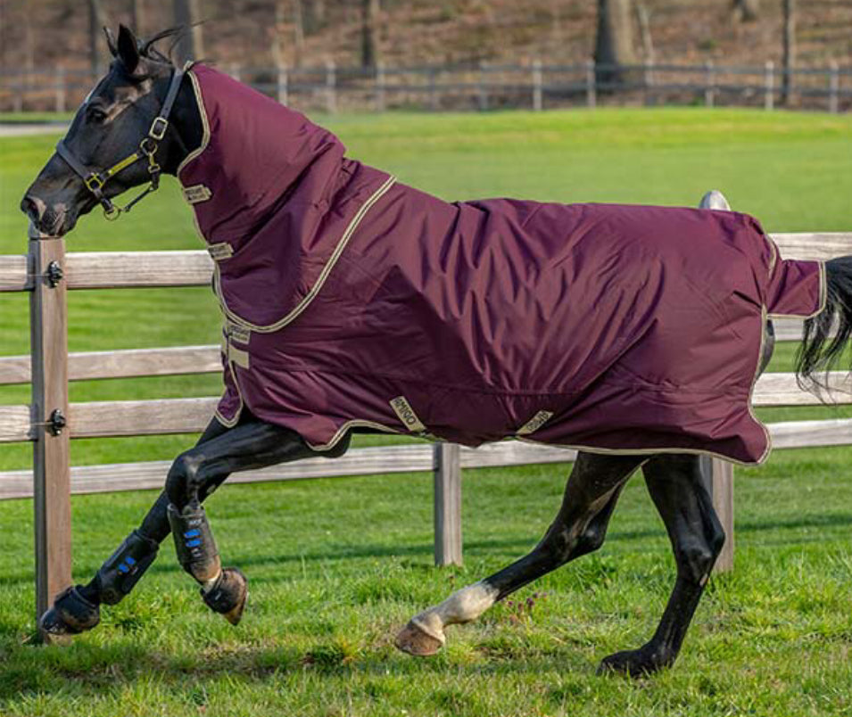 Amigo Hero Ripstop Plus 100g Lite