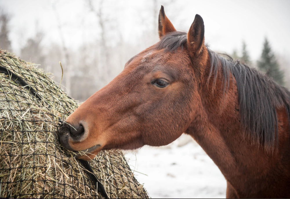 Round Bale