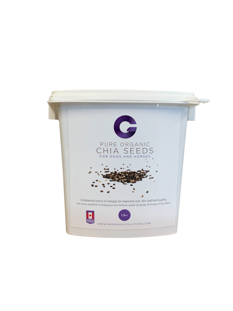 Chia Seeds