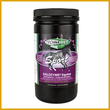 Galozyme Equine Sport