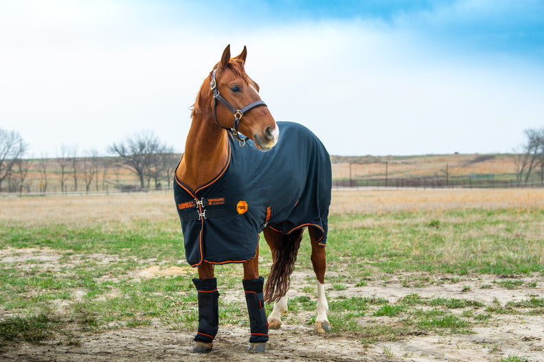 Rambo Ionic Stable Sheet