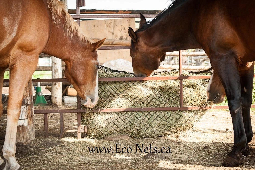 Square Bale Econet