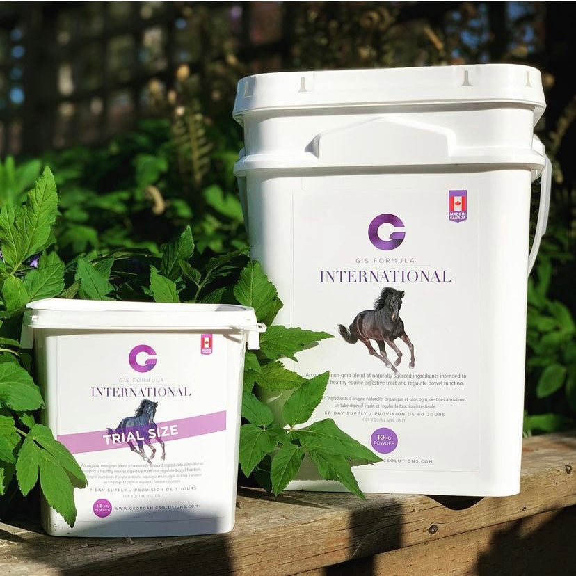 G’s Formula International