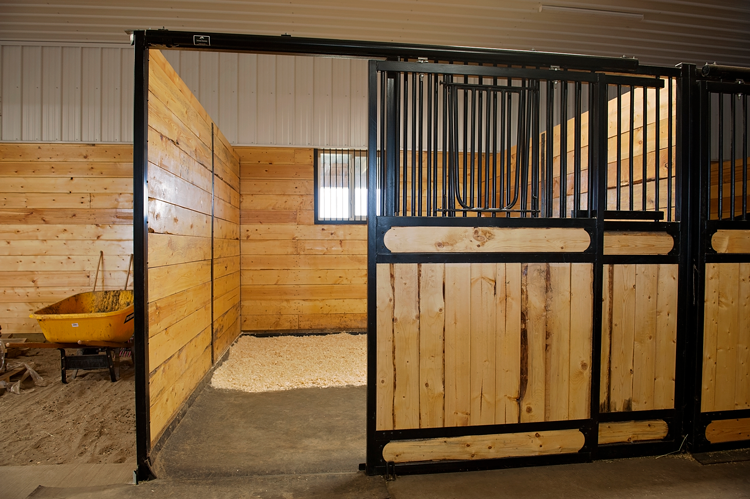 Stall Rest Package – Coulee Equine