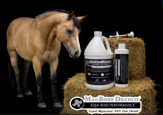 MagBoss Drench (Half Gallon)