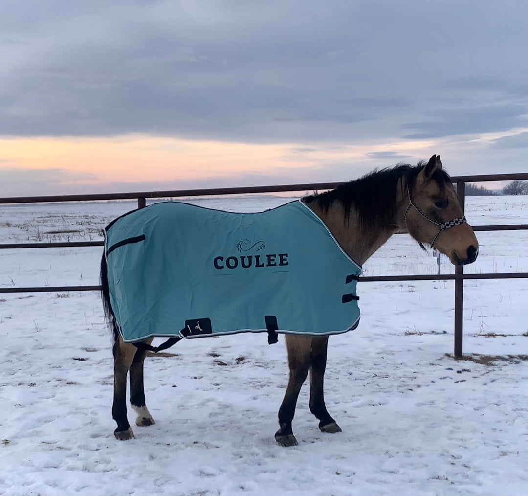 Classic Equine Stable Sheets (Coulee Equine)