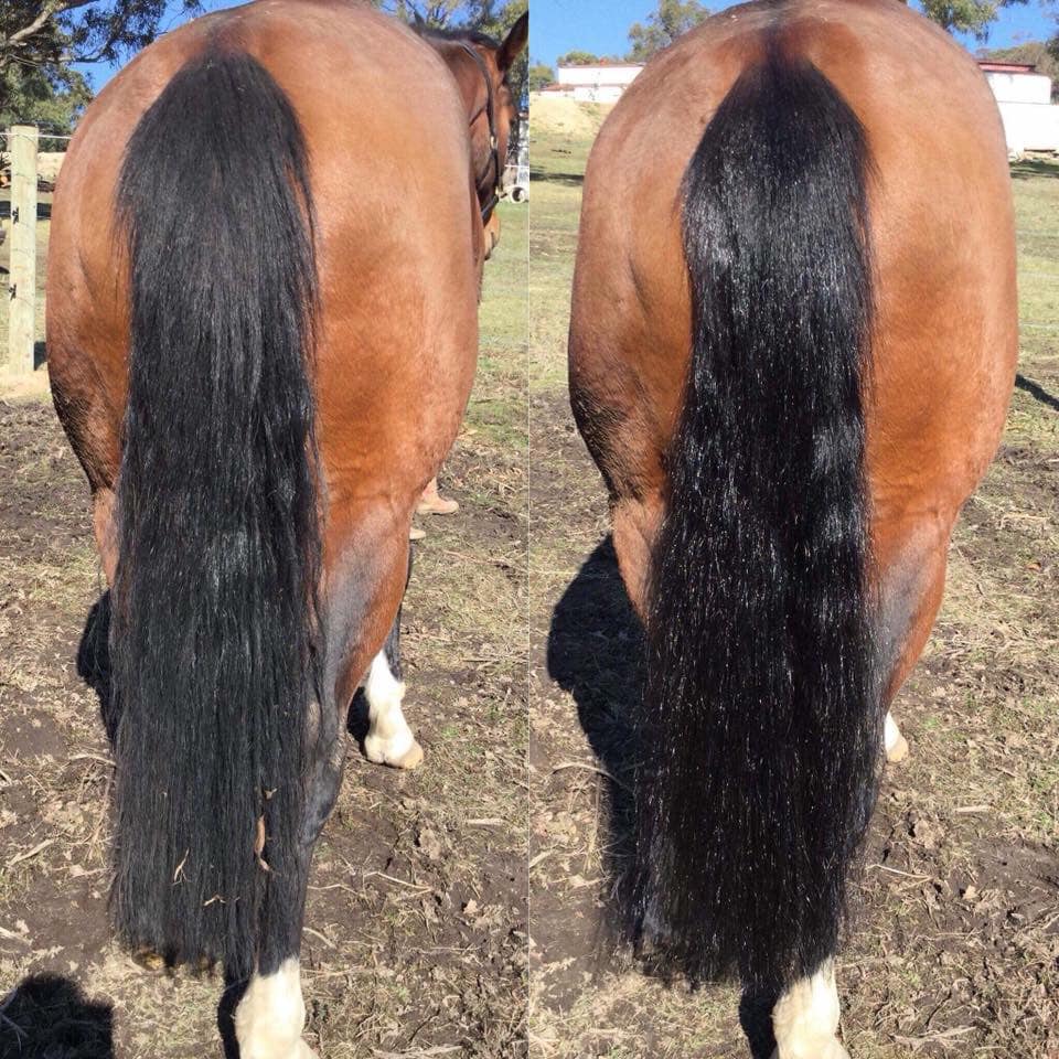 Hairy Pony Detangle & Shine Spray