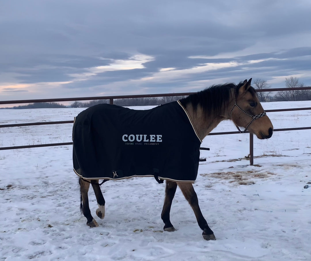 Classic Equine Stable Sheets (Coulee Equine)