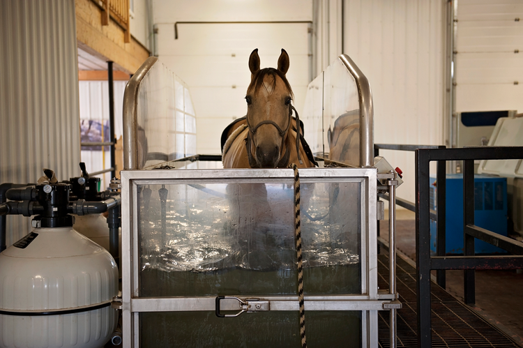 Water Treadmill