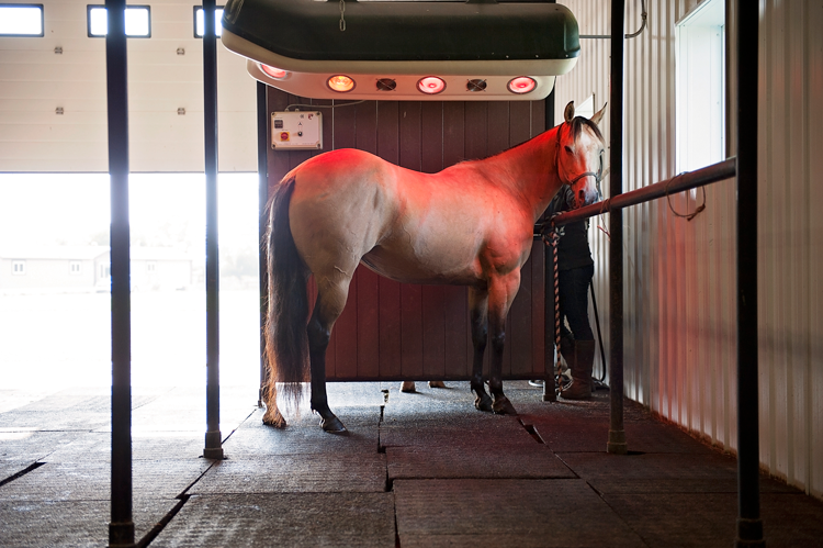 Infrared Solarium Session