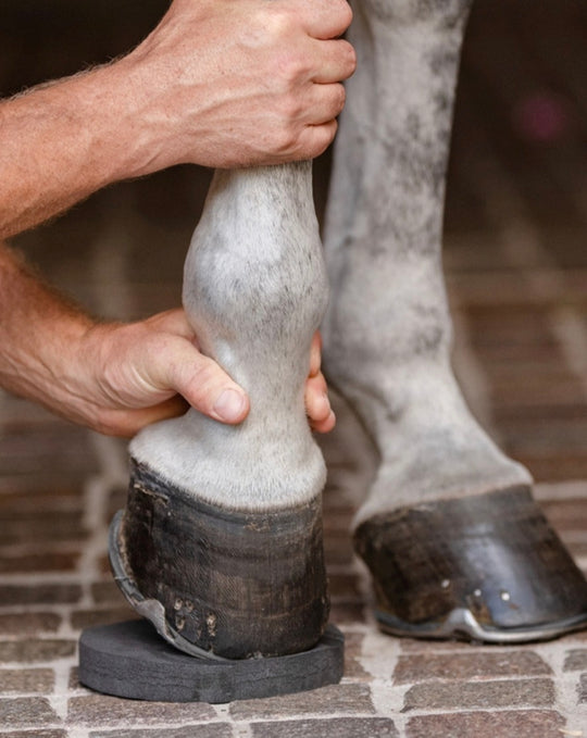 EquiFit Hoof Savers