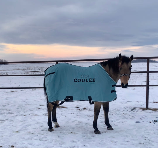 Classic Equine Stable Sheets (Coulee Equine)