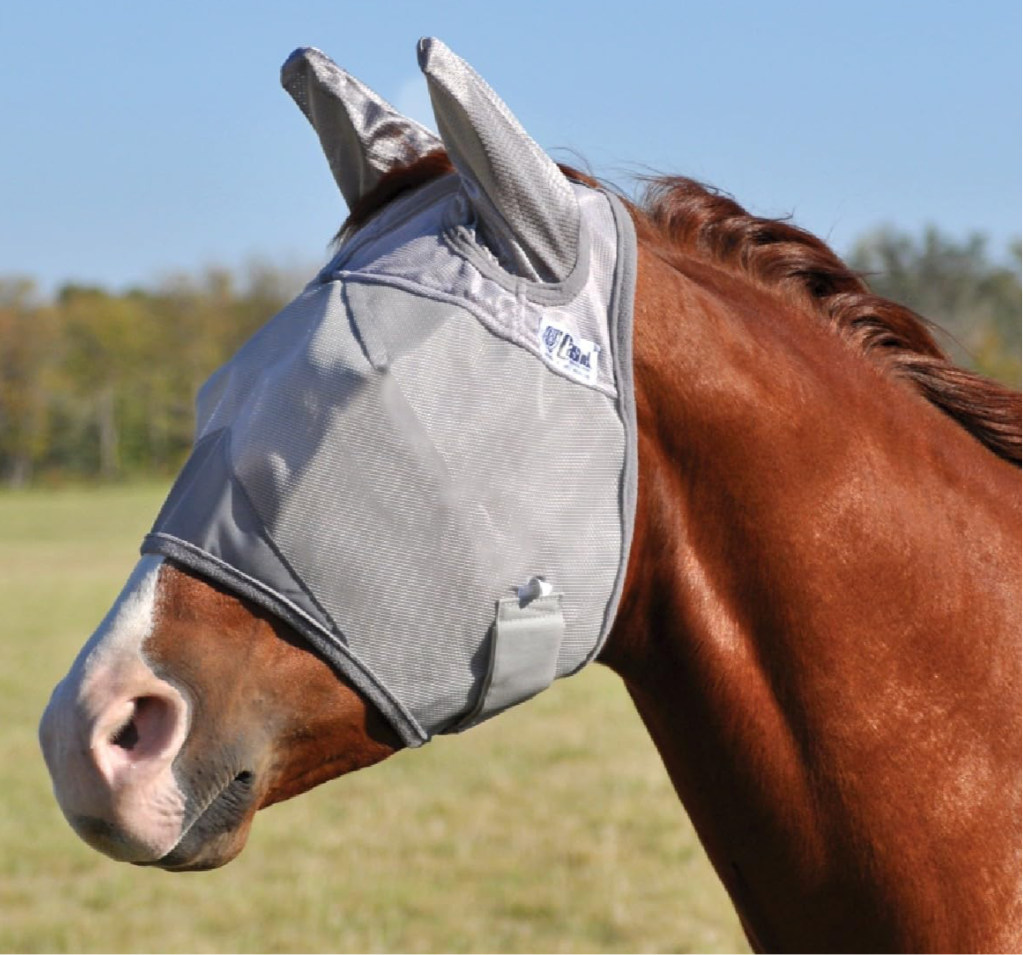 Crusaders Fly Mask with Ears