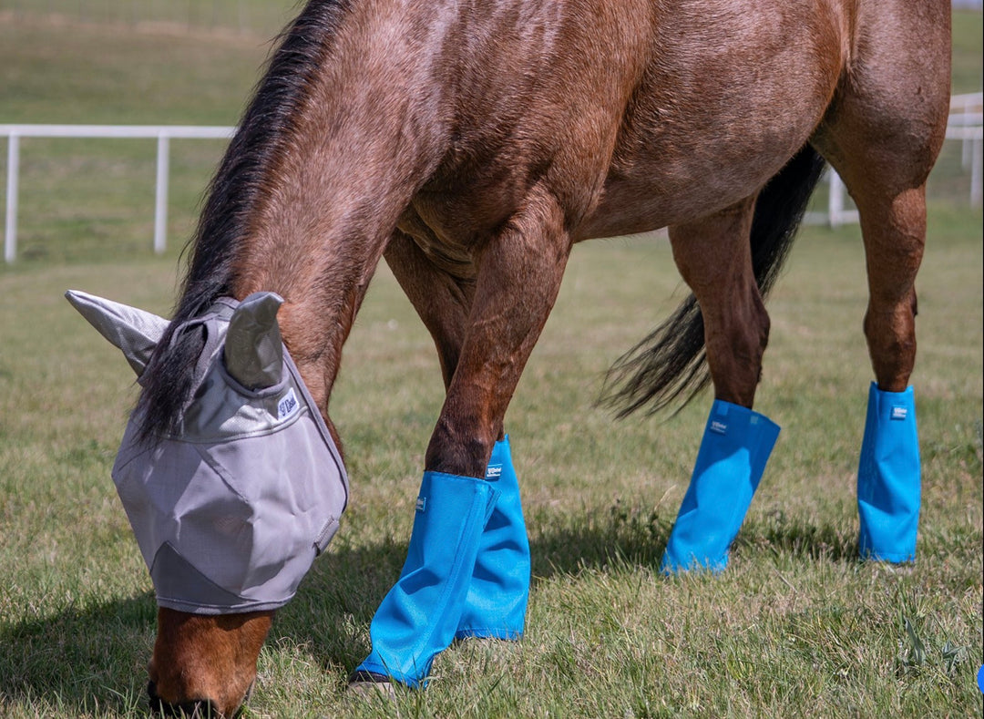Crusader Fly Leg Guards