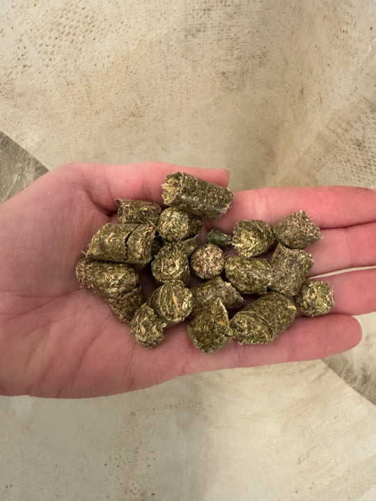 Alfalfa Pellets Xcel