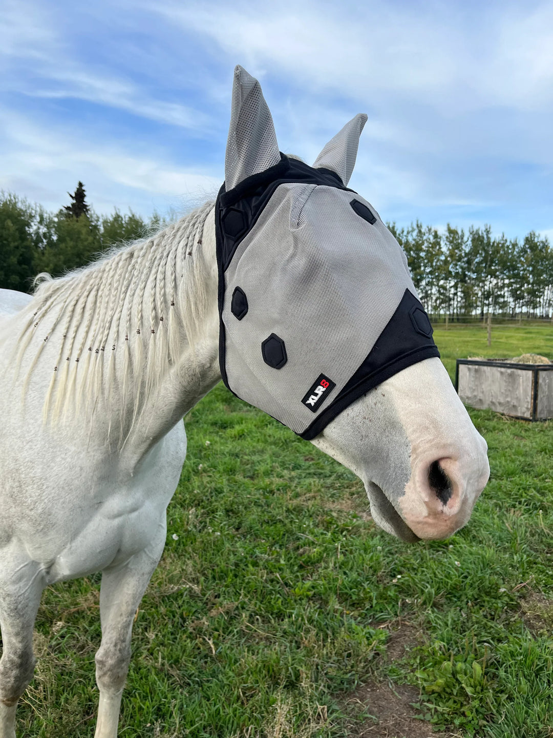 XLR8 Fly Mask