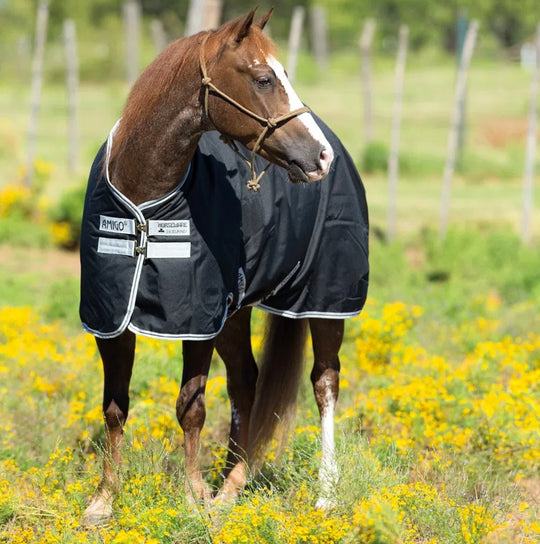 Amigo Stock Horse Turnout