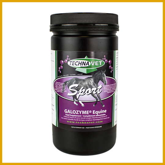 Galozyme Equine Sport