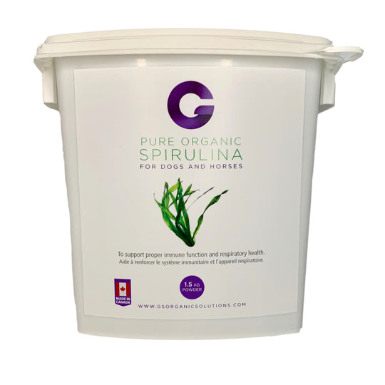 G's Organic Spirulina