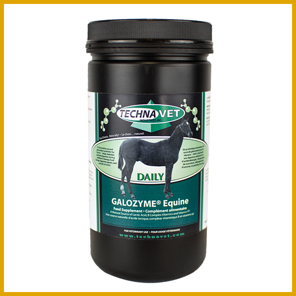 Galozyme Equine Daily