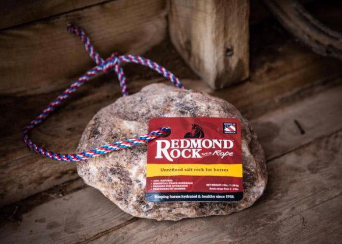 Redmond Rock on a Rope